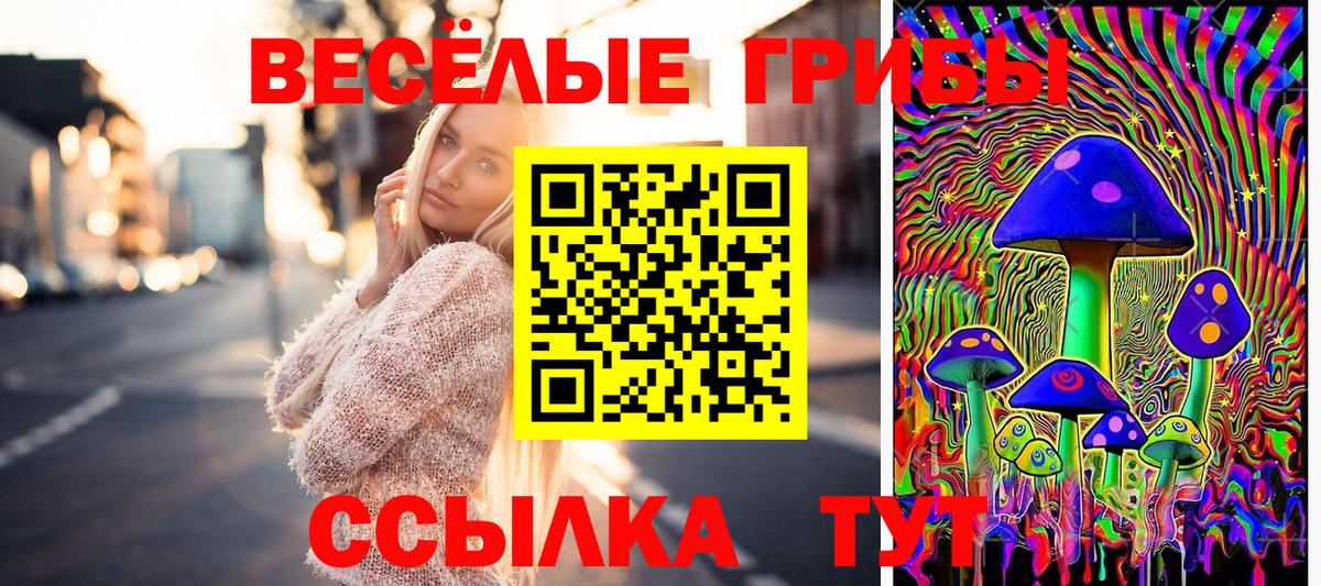 Галлюциногенные грибы Magic Shrooms  Вход с VPN  Псилоцибиновые грибы прущие грибы  Дальнереченск 