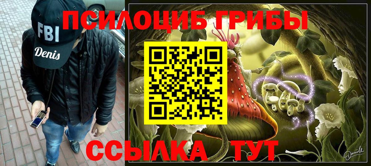 Псилоцибиновые грибы Psilocybine cubensis Дальнереченск